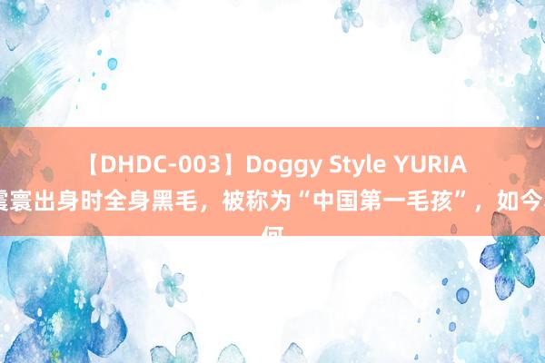 【DHDC-003】Doggy Style YURIA 于震寰出身时全身黑毛，被称为“中国第一毛孩”，如今若何