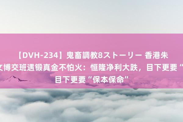 【DVH-234】鬼畜調教8ストーリー 香港朱门三代陈文博交班遇锻真金不怕火：恒隆净利大跌，目下更要“保本保命”