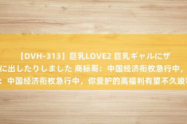 【DVH-313】巨乳LOVE2 巨乳ギャルにザーメンを中出ししたり、口に出したりしました 商标哥：中国经济衔枚急行中，你爱护的高福利有望不久竣事！