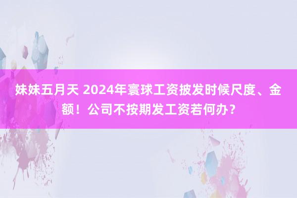 妹妹五月天 2024年寰球工资披发时候尺度、金额！公司不按期发工资若何办？