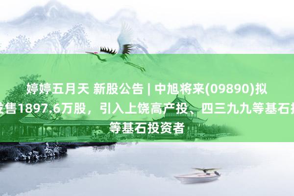 婷婷五月天 新股公告 | 中旭将来(09890)拟大家发售1897.6万股，引入上饶高产投、四三九九等基石投资者