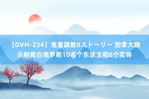 【DVH-234】鬼畜調教8ストーリー 加拿大晓示制裁白俄罗斯10名个东谈主和6个实体