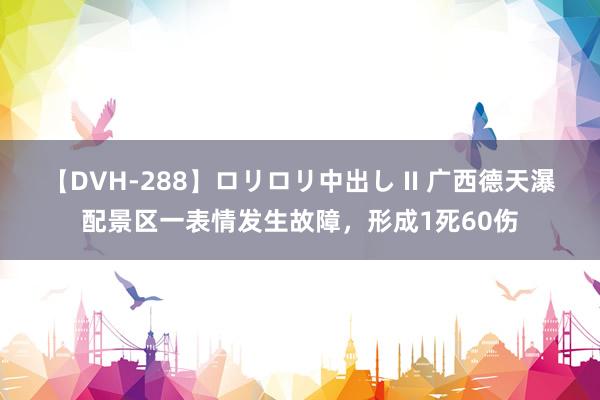 【DVH-288】ロリロリ中出し II 广西德天瀑配景区一表情发生故障，形成1死60伤