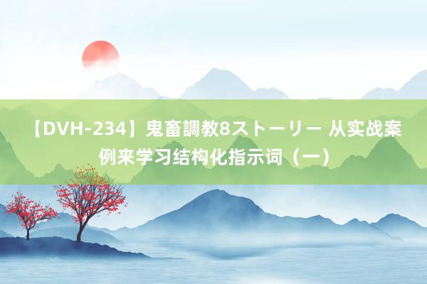 【DVH-234】鬼畜調教8ストーリー 从实战案例来学习结构化指示词（一）