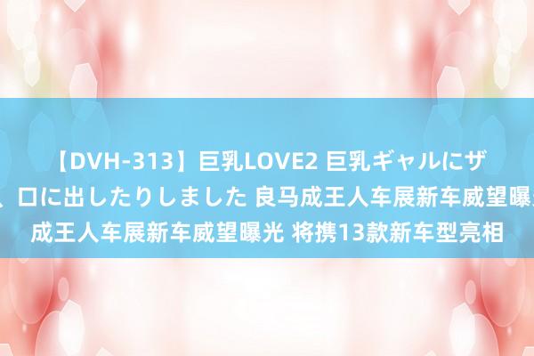 【DVH-313】巨乳LOVE2 巨乳ギャルにザーメンを中出ししたり、口に出したりしました 良马成王人车展新车威望曝光 将携13款新车型亮相