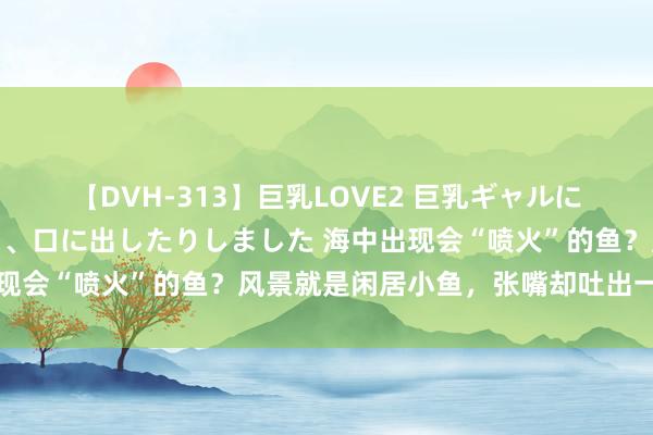 【DVH-313】巨乳LOVE2 巨乳ギャルにザーメンを中出ししたり、口に出したりしました 海中出现会“喷火”的鱼？风景就是闲居小鱼，张嘴却吐出一口蓝焰