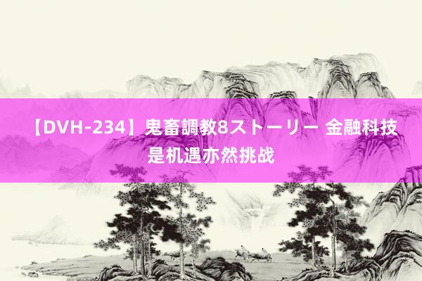 【DVH-234】鬼畜調教8ストーリー 金融科技是机遇亦然挑战