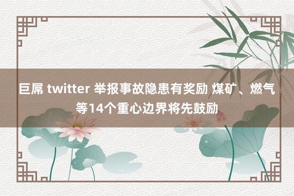 巨屌 twitter 举报事故隐患有奖励 煤矿、燃气等14个重心边界将先鼓励