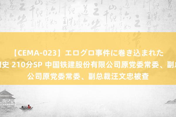 【CEMA-023】エログロ事件に巻き込まれた 人妻たちの昭和史 210分SP 中国铁建股份有限公司原党委常委、副总裁汪文忠被查