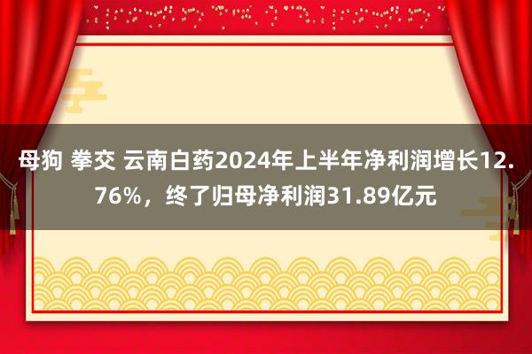 母狗 拳交 云南白药2024年上半年净利润增长12.76%，终了归母净利润31.89亿元