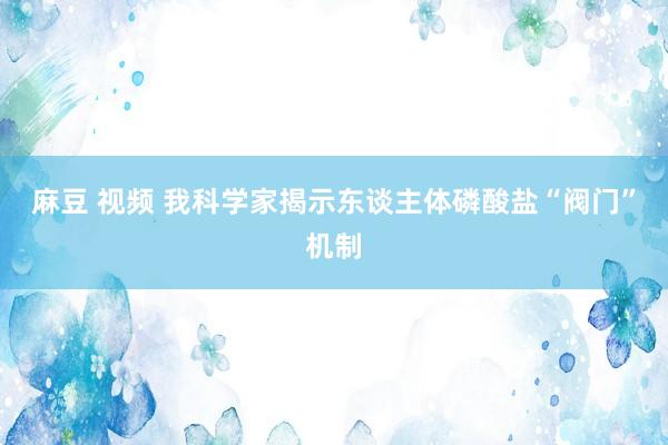 麻豆 视频 我科学家揭示东谈主体磷酸盐“阀门”机制