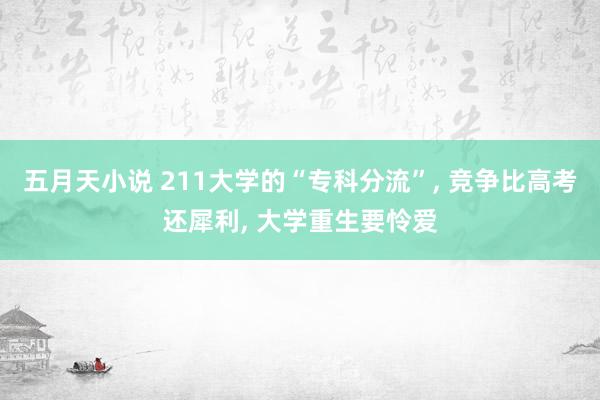 五月天小说 211大学的“专科分流”， 竞争比高考还犀利， 大学重生要怜爱