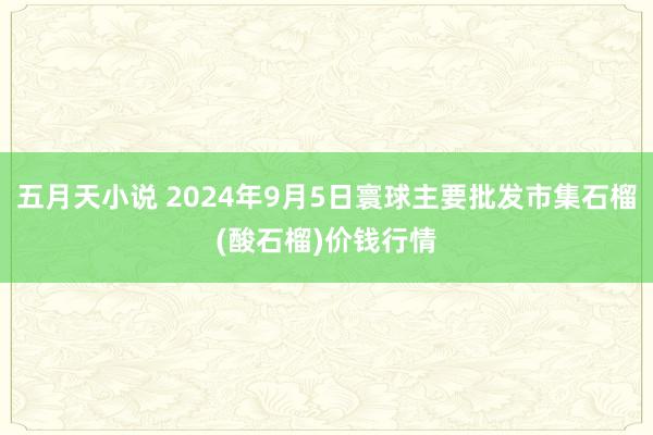 五月天小说 2024年9月5日寰球主要批发市集石榴(酸石榴)价钱行情