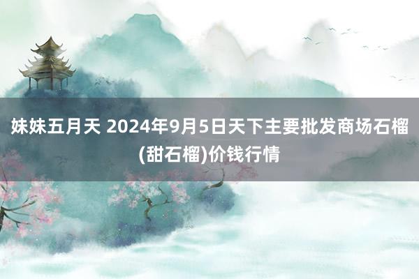 妹妹五月天 2024年9月5日天下主要批发商场石榴(甜石榴)价钱行情