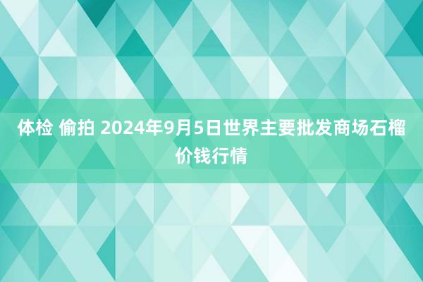 体检 偷拍 2024年9月5日世界主要批发商场石榴价钱行情