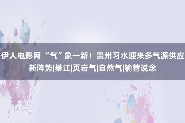 伊人电影网 “气”象一新！贵州习水迎来多气源供应新阵势|綦江|页岩气|自然气|输管说念